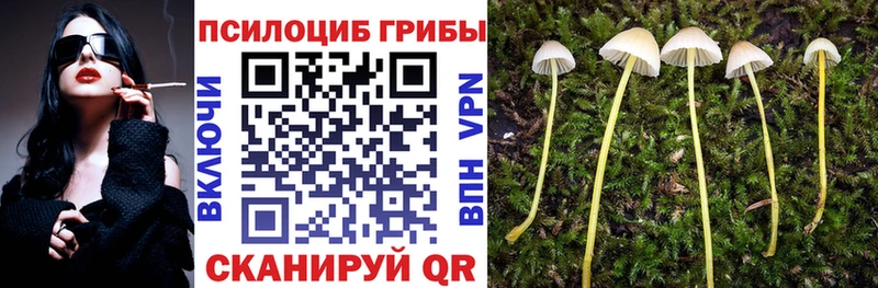 kraken   Новоуральск  Галлюциногенные грибы прущие грибы 